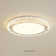 Abdul-Rehman Acrylic LED Flush Mount