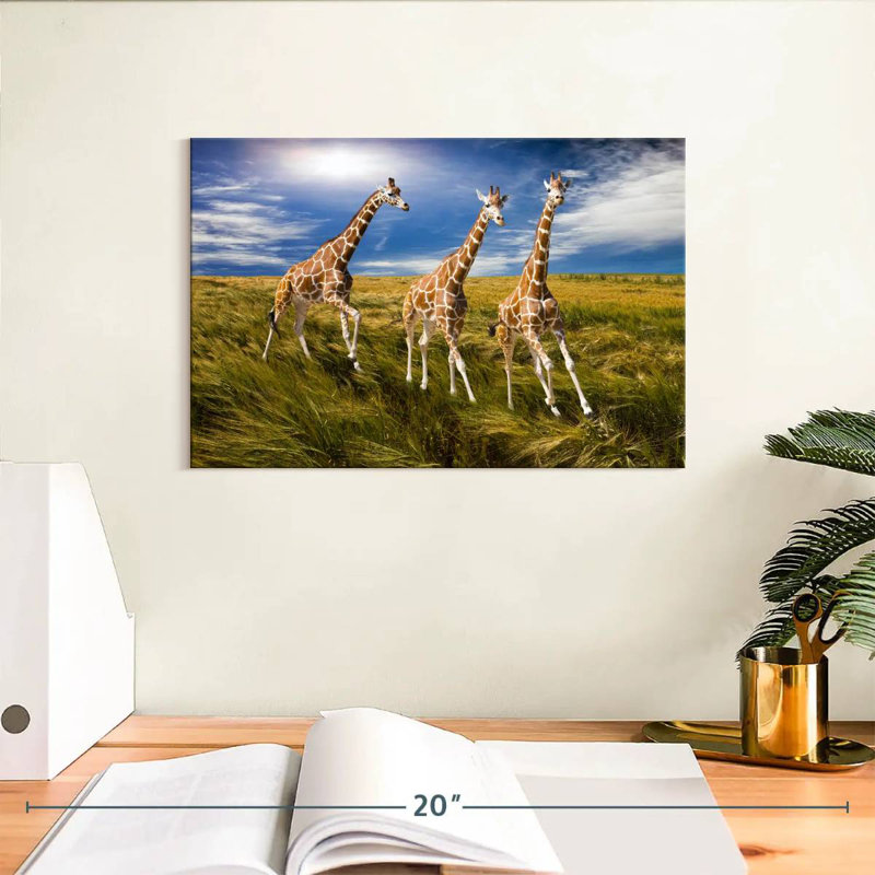 Trois girafes en course, H 8 po x l 12 po