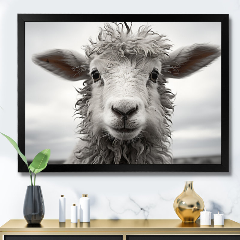 Mouton sérénité - animaux, art mural, salon, Cadre simple noir, H 24 po x l 32 po x P 1 po