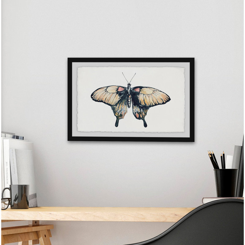 Cream Coloured Wings - Single Picture Frame Print, 30 cm H x 46 cm W