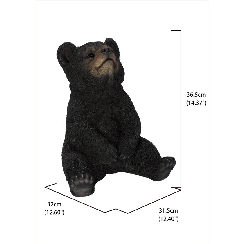 Sitting Bear Cub with Head up