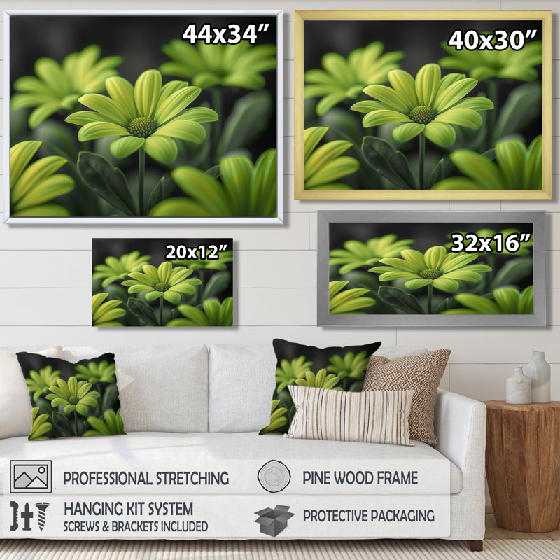 Photo de marguerites monochromes vertes et noires - salon de marguerites murales, H 24 po x l 32 po, Cadre flottant blanc