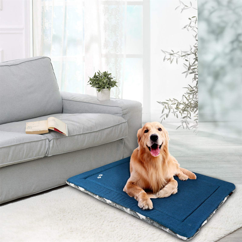 Beachwood Geometric Orthopedic Suede Pet Bed