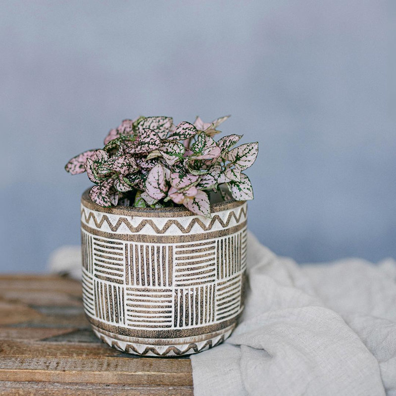 Ensemble de 2 pots à fleurs à motif zigzag et lignes