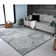 Iser Oriental Indoor Rug