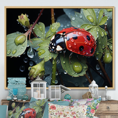 " Rainy Ladybugs Lullaby "