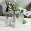 Glass Decorative Bottle-1422089259