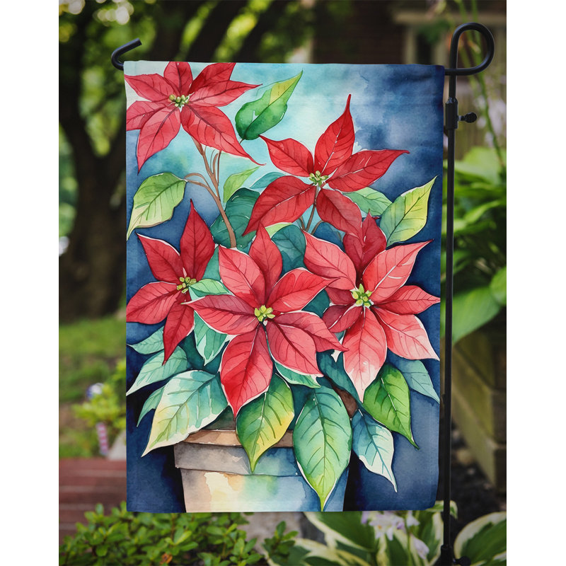 Drapeau d'hypericum ou de millepertuis, Poinsettias