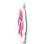 Gruia Wall Decor