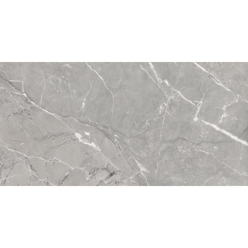 Carreau de porcelaine aspect marbre 24x48