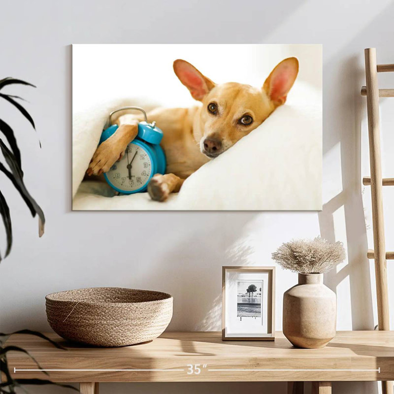 Brampt Dog Alarm, 8" H x 12" W