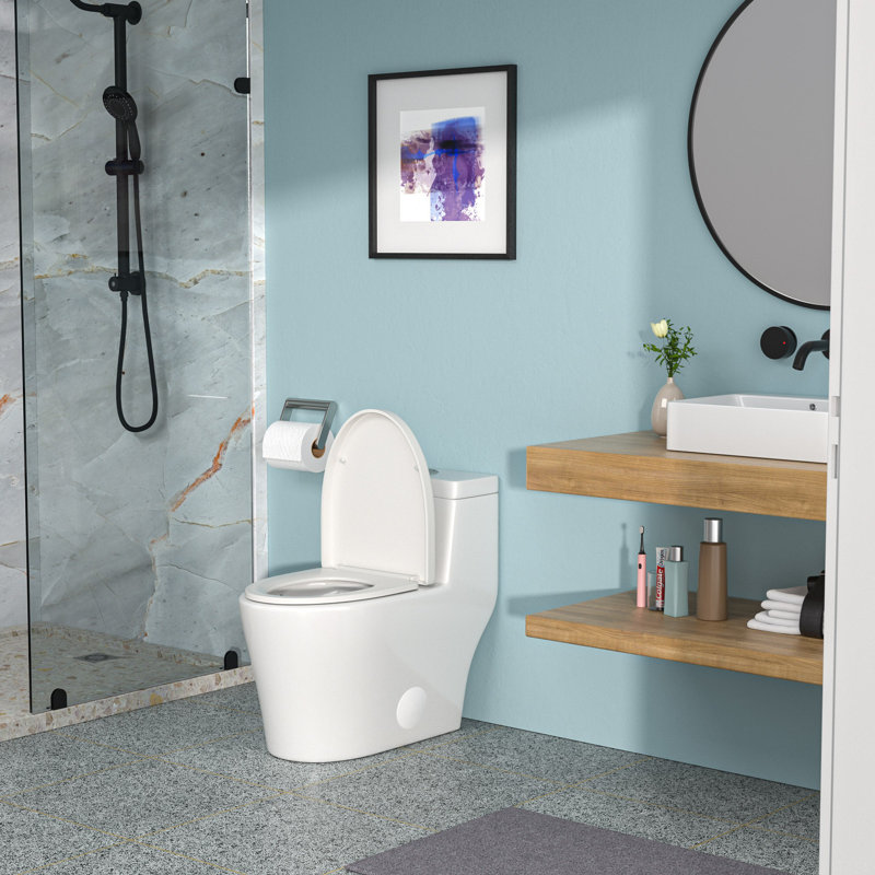 Ceramic One Piece Toilet,Dual Flush With Soft Clsoing Seat