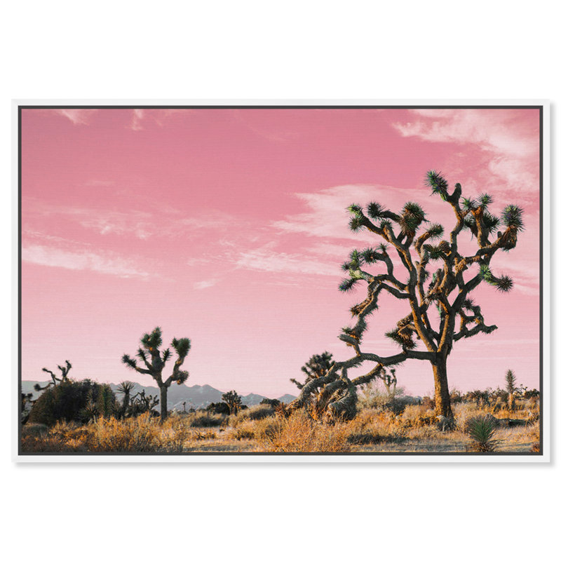 «Nature and Landscape Joshua Tree Pink II Desert Landscape», reproduction d'art sur toile, H 24 po x l 36 po x 1,5 po