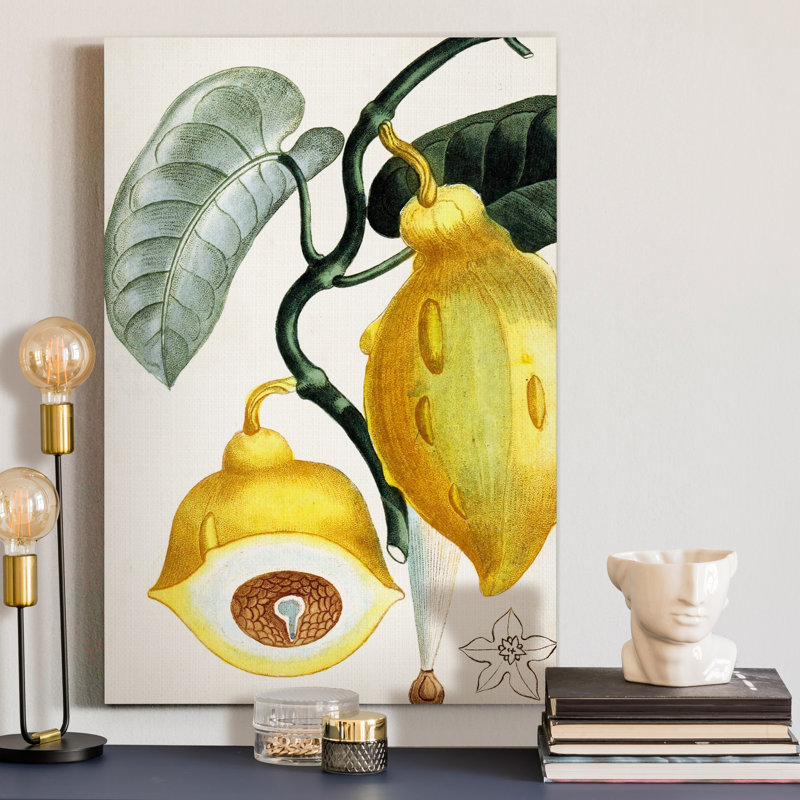 Reproduction d’art sur toile tendue « Turpin tropical fruit IV », H 12 po x l 8 po x P 1 po