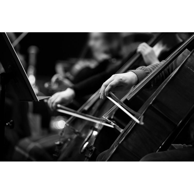 The Hands Of A Musician by Furtseff - Wrapped Canvas Print, 30cm H x 46cm W x 3.8cm D