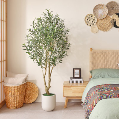 Ashwell Artificial Olive Tree with White Pot