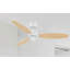 105 Cm Ceiling Fan Ron