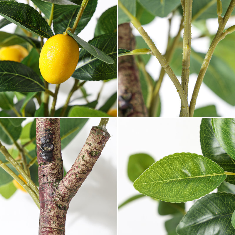 Indoor Faux Lemon Tree with Lifelike Fruits for Home Décor, 61'' H x 19.7" W x 19.7" D
