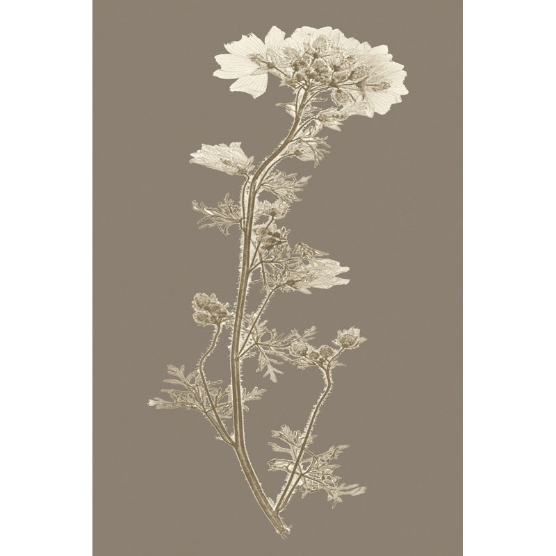 Étude de la nature taupe I, H 12 po x l 8 po