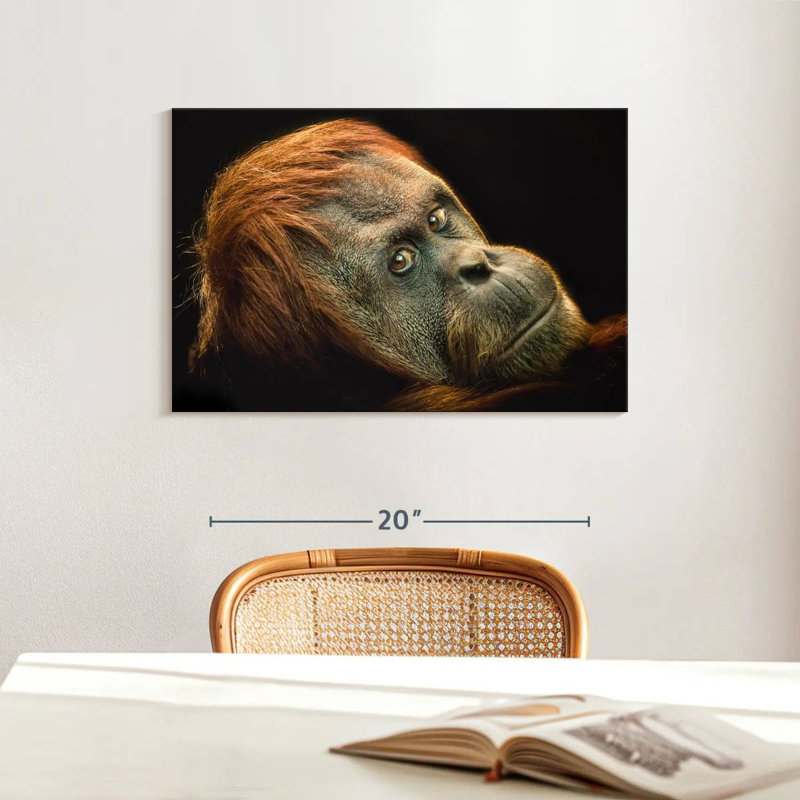 Brampt Dramatic Orangutan, 16" H x 24" W