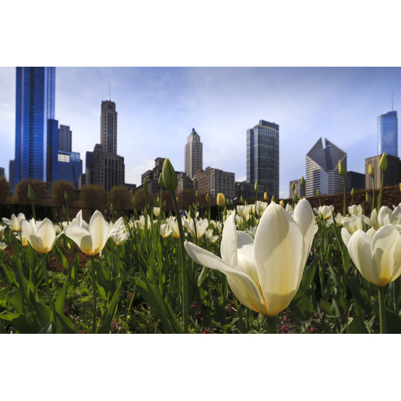 Chicago Skyline - Photographie sur toile tendue, H 24 po x l 36 po