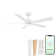 Bali Smart 5-Blade 52in Ceiling Fan 2700K-6000K CCT Selectable LED Light Kit with Remote Control and Hardware with Reversible Blades in Weathered Works With iOS or Android App