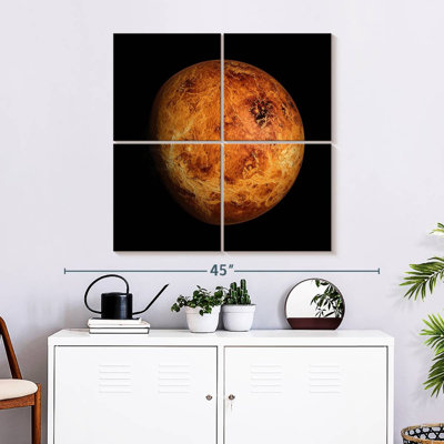 Oberle Venus Close Up