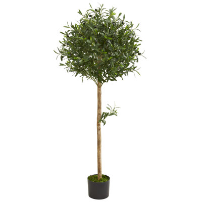 60'' Faux Olive Tree Topiary in Planter