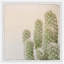 Cadre photo « fuzzy cactus », impression sur papier-24799794-32818027
