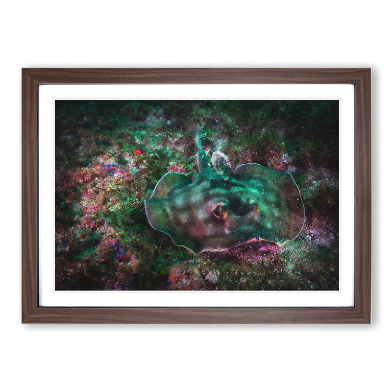 Sting Ray - Picture Frame Painting, 48cm H x 65cm W x 2cm D, Walnut Framed