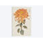 «Vibrant Mums I», impression sur toile tendue-29052569-72792917-72792923