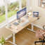 Bureau debout électrique à hauteur ajustable-620267746-620267773