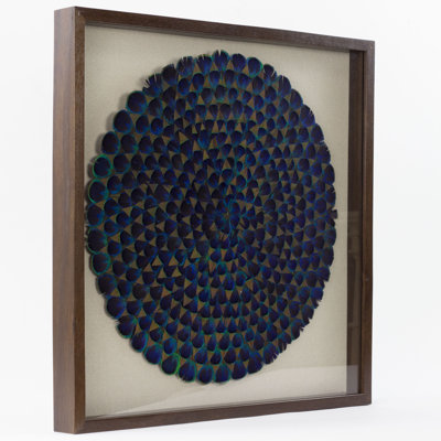 Natural Blue Peacock Feather Framed Wall Art