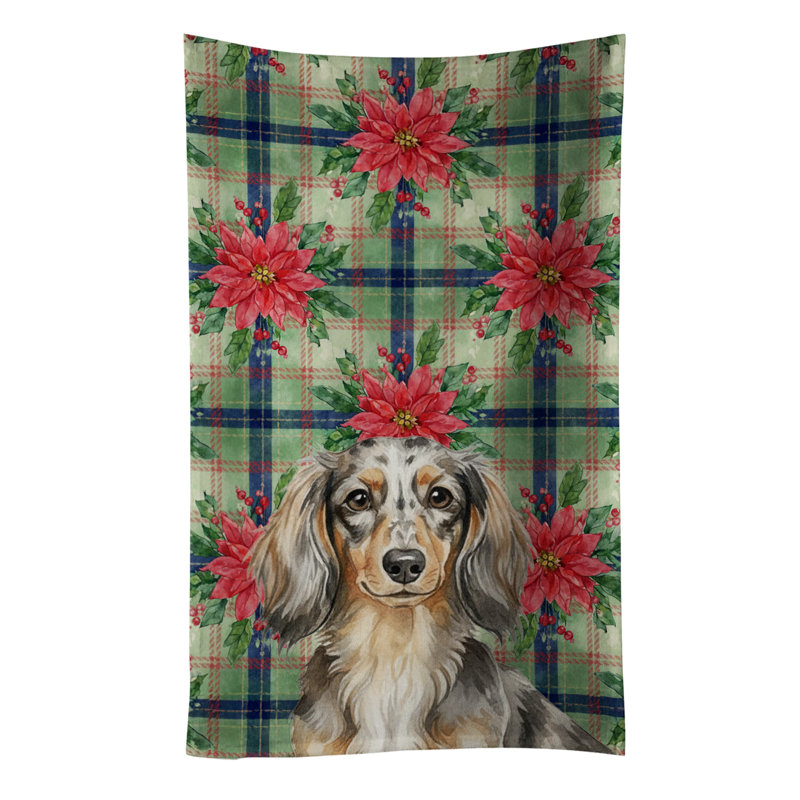 Longhaired Dapple Dachshund Christmas PoinsettIas Kitchen Towel, Longhaired Dapple Dachshund