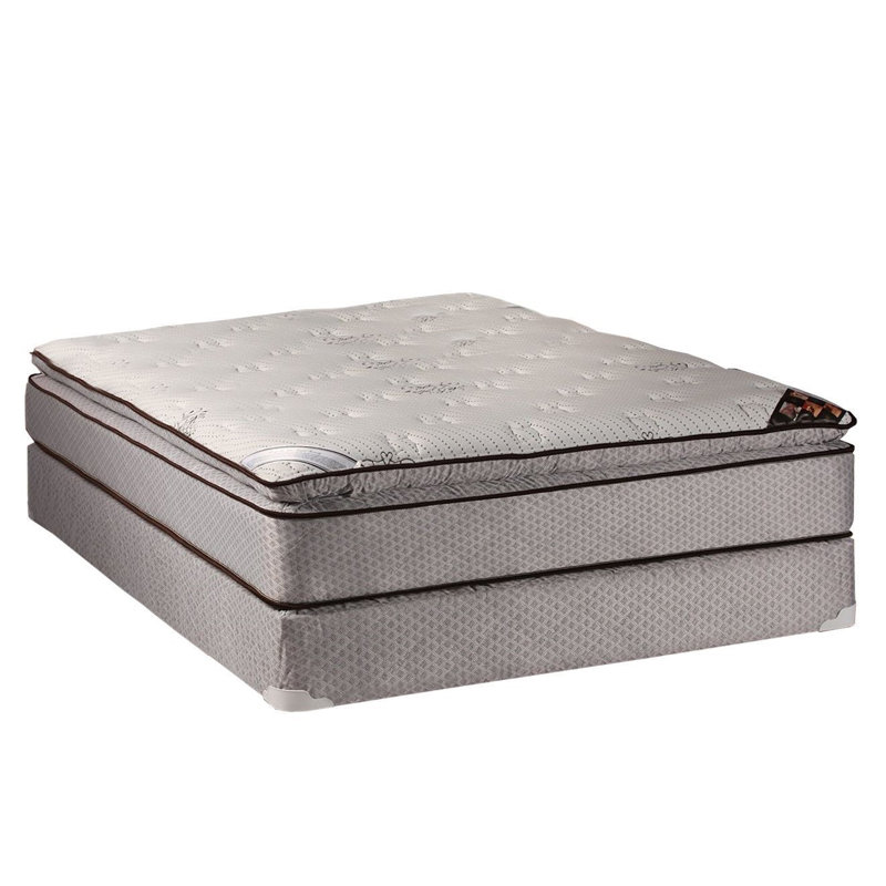 Alwyn Home Clincy Twin 12'' Plush Innerspring Mattress and Bed Frame Box Spring