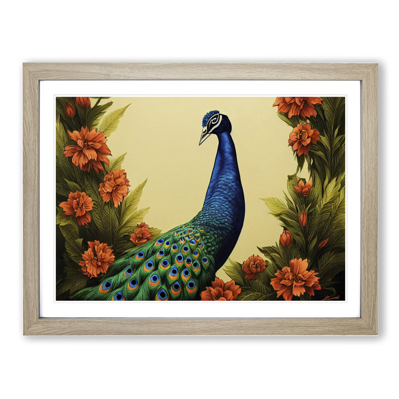 Pleasing Peacock - Single Picture Frame Print, Oak Framed, 34cm H x 46cm W x 2cm D