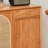 22 Pair Shoe Storage Cabinet