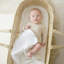 Tiny Dreamer™ - Premium Foam Moses Basket Mattress (74 x 28cm)
