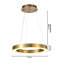 Lustre rond moderne 1 lumière DEL dorée-1558397818