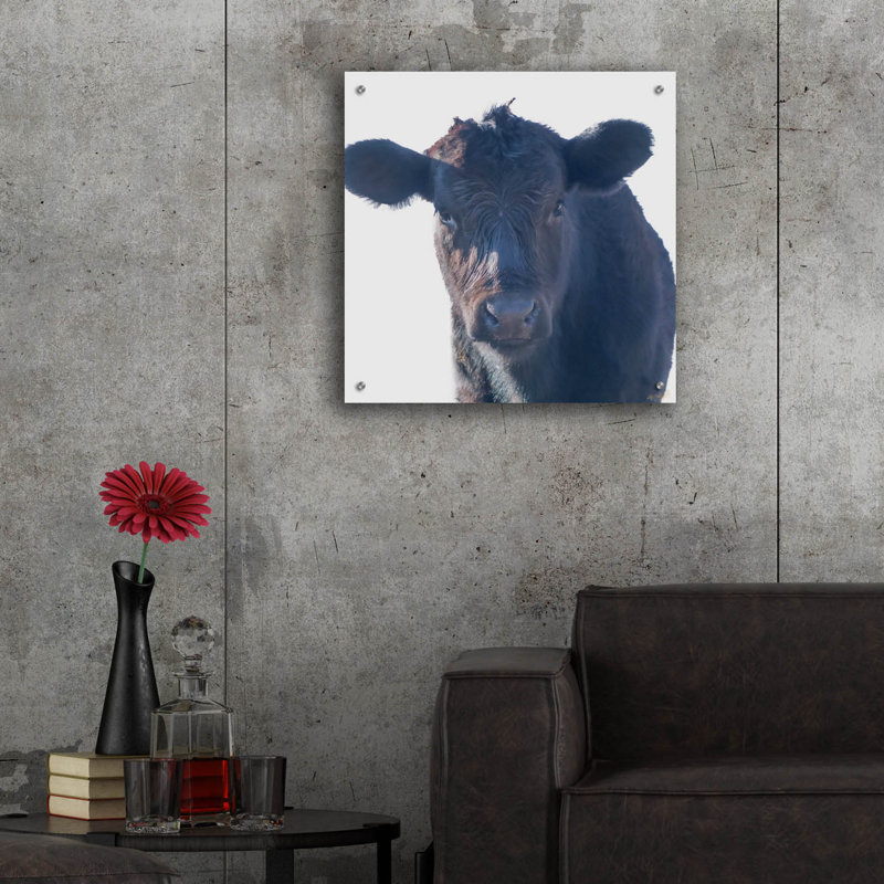  «Cow Closer Look» par Life BeautifuLEE, art mural en verre acrylique, 24 po x 24 po, H 24 po x l 24 po