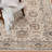 Feliz Oriental Indoor Rug-528783866