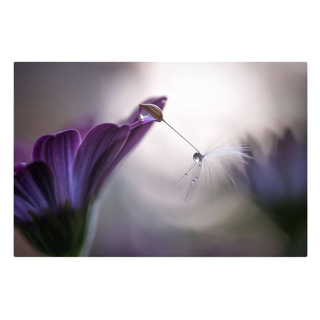 Leinwandbild Violetter Regen