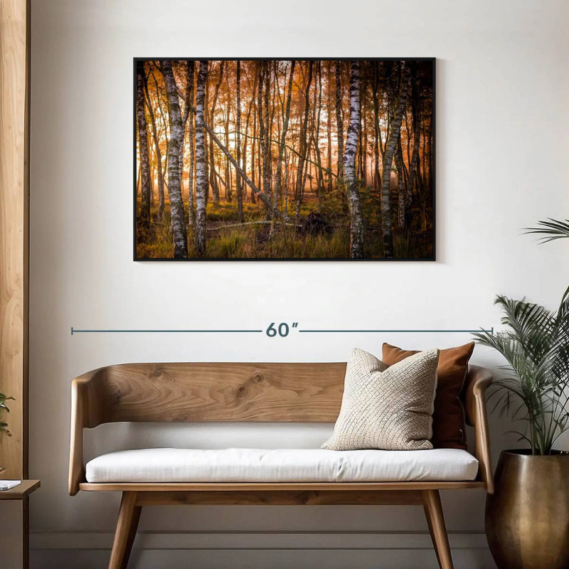 Forêt de bouleaux sombre, Cadre flottant noir, 43 po x 29 po