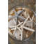 Layered Starfish Print by Barclay Butera-26773414-26773417