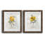 Canary Linen pivoine - ensemble de 2 reproductions d'art-964023993-964023998-964023999