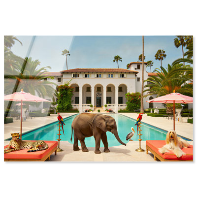 «Animal Palace II», reproduction d'art acrylique sur toile par Notoriart, prête à être suspendue, H 36 po x l 54 po