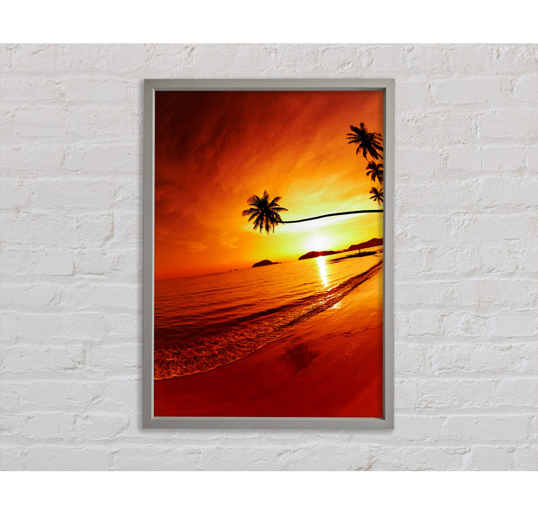 Gerahmtes Bild Ocean Sunset Palm