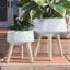 Set of 2 Resin and Magnesia Planters with Beech Wood Stands - Modern Elevated Indoor Outdoor Decorative Plant Holders for Stylish Display.-1422079921