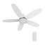 Ventilateur de plafond intelligent à courant continu avec lumière DEL et télécommande-932210065-872548626