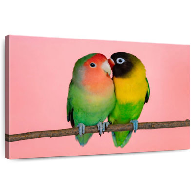 Hardie Smooching Lovebirds